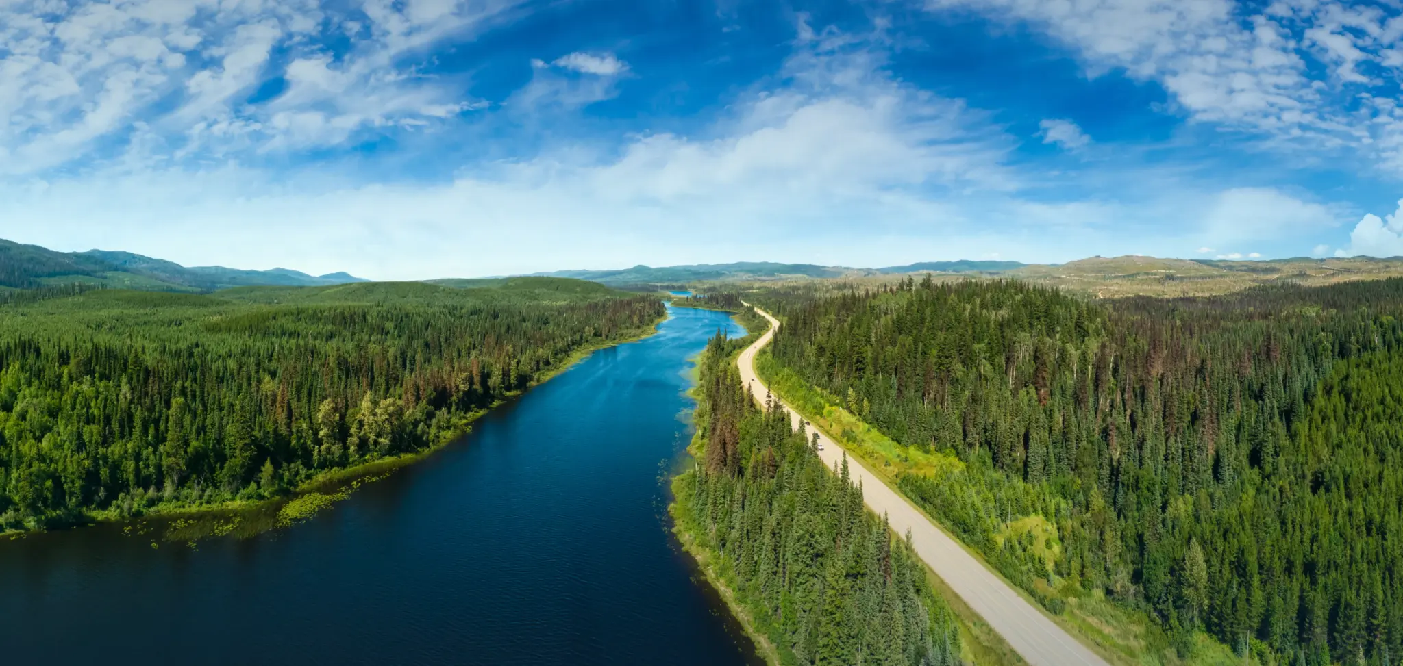 River between green trees